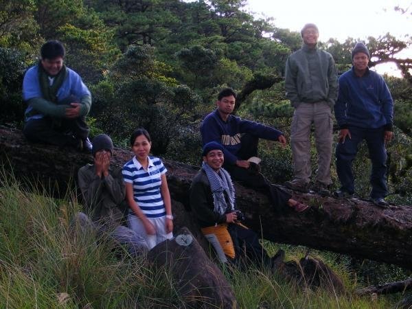Philippine native plant spcialists